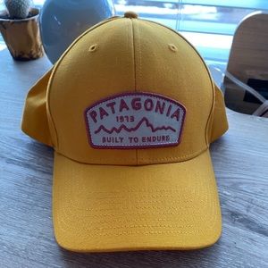 Patagonia baseball hat